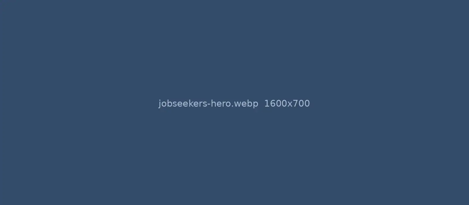 A candidate in a career discussion with a consultant
